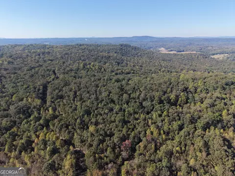 57 Ac Soapstone Rd, Baldwin, GA 30511 photo 45