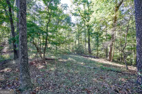 57 Ac Soapstone Rd, Baldwin, GA 30511 photo 6