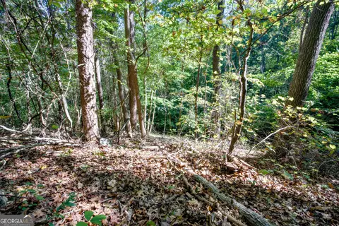 57 Ac Soapstone Rd, Baldwin, GA 30511 photo 34