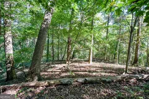 57 Ac Soapstone Rd, Baldwin, GA 30511 photo 28
