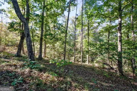57 Ac Soapstone Rd, Baldwin, GA 30511 photo 9