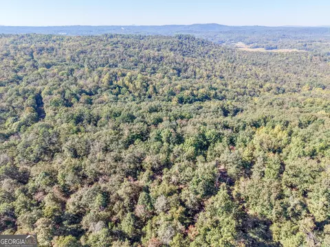 57 Ac Soapstone Rd, Baldwin, GA 30511 photo 48