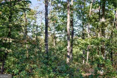 57 Ac Soapstone Rd, Baldwin, GA 30511 photo 18