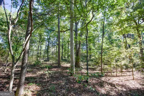 57 Ac Soapstone Rd, Baldwin, GA 30511 photo 2