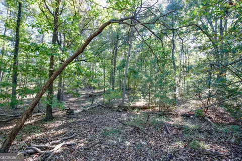 57 Ac Soapstone Rd, Baldwin, GA 30511 photo 23