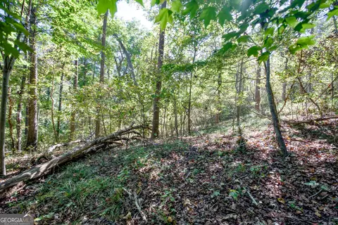 57 Ac Soapstone Rd, Baldwin, GA 30511 photo 29