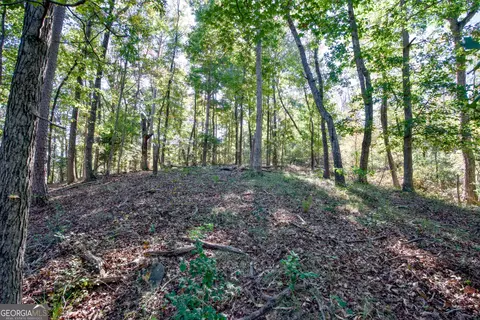 57 Ac Soapstone Rd, Baldwin, GA 30511 photo 8
