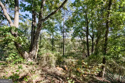 57 Ac Soapstone Rd, Baldwin, GA 30511 photo 12
