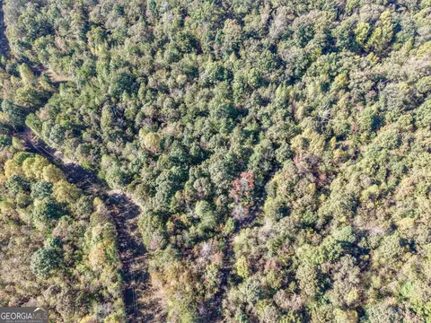 57 Ac Soapstone Rd, Baldwin, GA 30511 photo 47