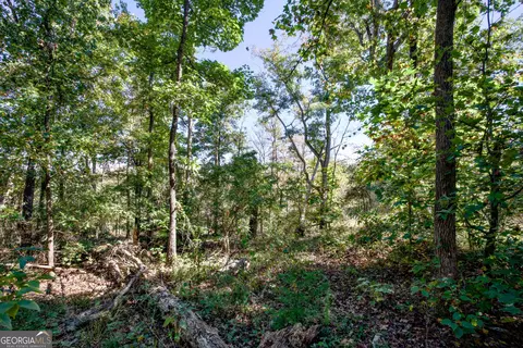 57 Ac Soapstone Rd, Baldwin, GA 30511 photo 15