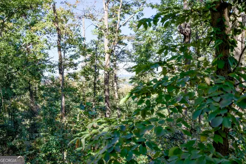 57 Ac Soapstone Rd, Baldwin, GA 30511 photo 19