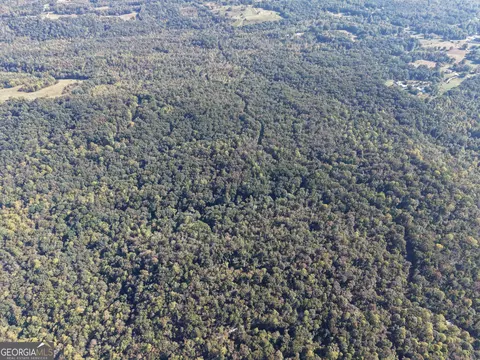 57 Ac Soapstone Rd, Baldwin, GA 30511 photo 44