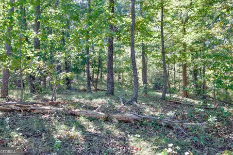 57 Ac Soapstone Rd, Baldwin, GA 30511 photo 24