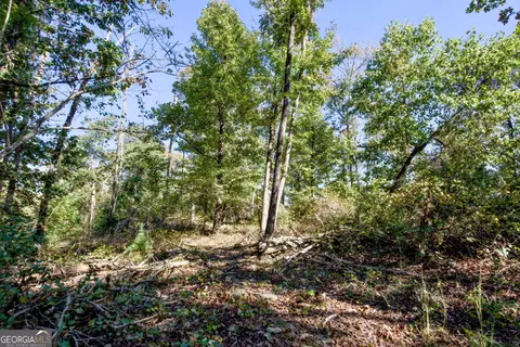 57 Ac Soapstone Rd, Baldwin, GA 30511 photo 11