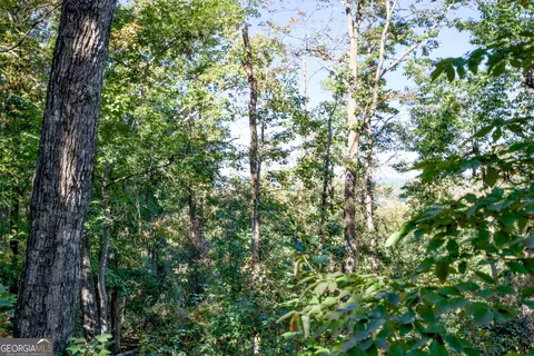57 Ac Soapstone Rd, Baldwin, GA 30511 photo 20