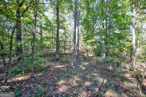 57 Ac Soapstone Rd, Baldwin, GA 30511 photo 21