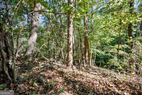 57 Ac Soapstone Rd, Baldwin, GA 30511 photo 35