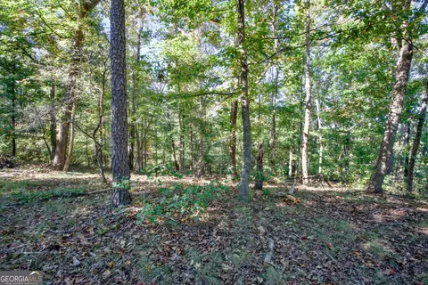 57 Ac Soapstone Rd, Baldwin, GA 30511 photo 25