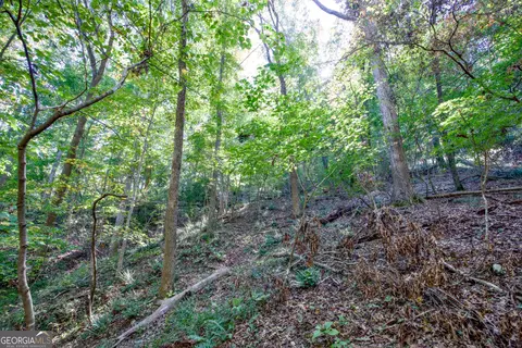 57 Ac Soapstone Rd, Baldwin, GA 30511 photo 31