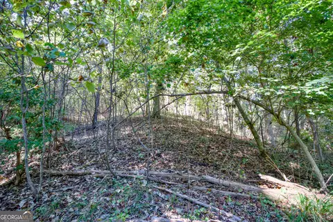 57 Ac Soapstone Rd, Baldwin, GA 30511 photo 33