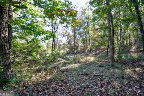 57 Ac Soapstone Rd, Baldwin, GA 30511 photo 7