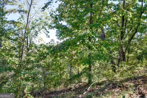 57 Ac Soapstone Rd, Baldwin, GA 30511 photo 16
