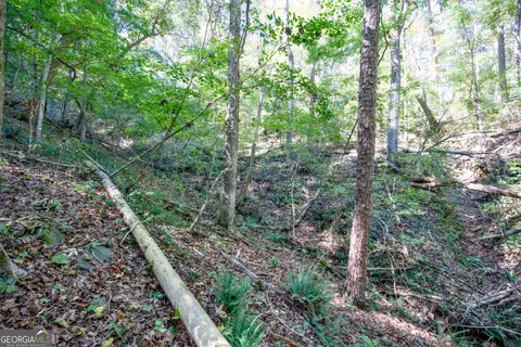 57 Ac Soapstone Rd, Baldwin, GA 30511 photo 32
