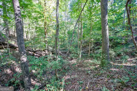 57 Ac Soapstone Rd, Baldwin, GA 30511 photo 30