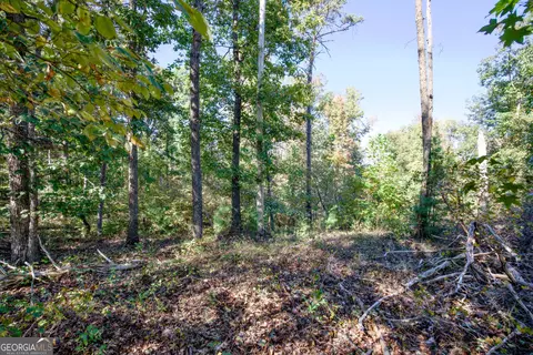 57 Ac Soapstone Rd, Baldwin, GA 30511 photo 14