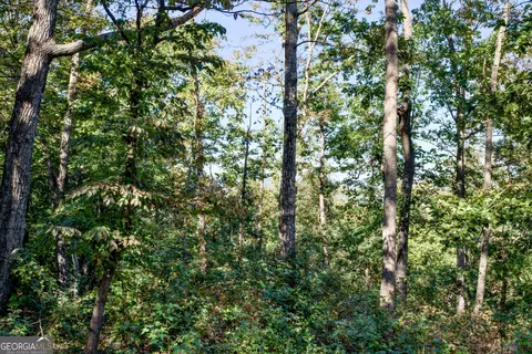 57 Ac Soapstone Rd, Baldwin, GA 30511 photo 17