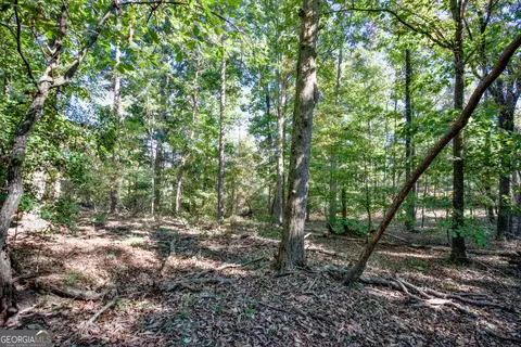 57 Ac Soapstone Rd, Baldwin, GA 30511 photo 22