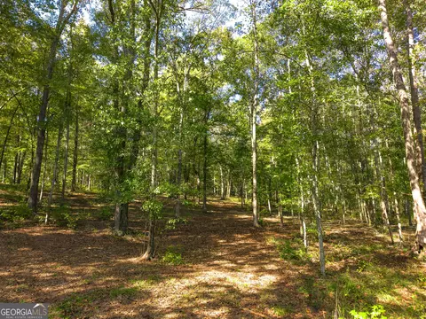 190 Grace Hope Dr, Brooks, GA 30205 photo 8
