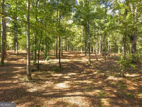 190 Grace Hope Dr, Brooks, GA 30205 photo 6