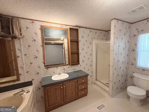 Bath - 5180 Old Cornelia Hwy, Lula, GA 30554 photo 3 of 3