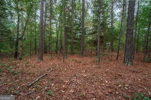 0 Abercrombie Rd, Culloden, GA 31016 photo 11