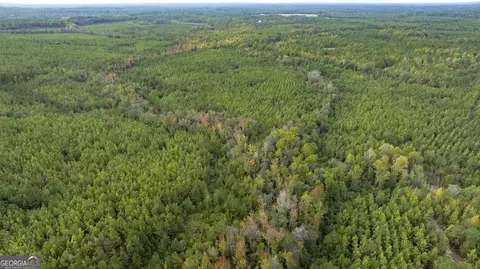 0 Fortner Pond Rd #TRACT 2, Kite, GA 31049