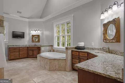 Bath - 310 Trinity Overlook, Canton, GA 30115 photo 2 of 3