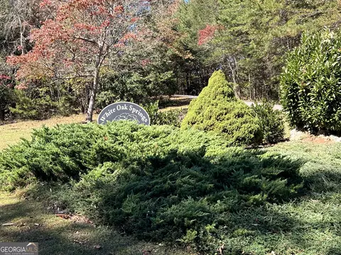 lot8 Travis Rdg, Blairsville, GA 30512