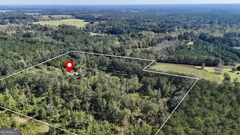 Other - 219 Andrews Cir, Cairo, GA 39828 photo 4 of 13