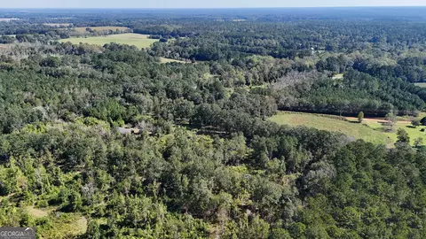 Other - 219 Andrews Cir, Cairo, GA 39828 photo 3 of 13