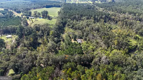 Other - 219 Andrews Cir, Cairo, GA 39828 photo 5 of 13