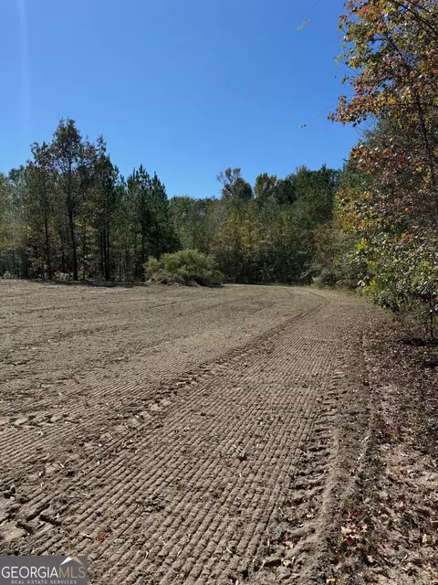 0 Carroll Rd, Roberta, GA 31078 photo 5