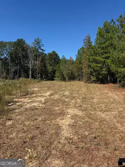 0 Carroll Rd, Roberta, GA 31078 photo 9