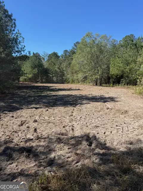 0 Carroll Rd, Roberta, GA 31078 photo 12
