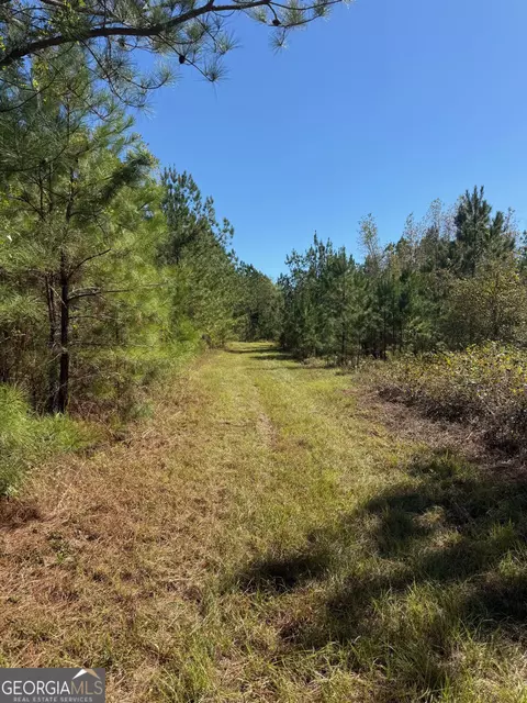 0 Carroll Rd, Roberta, GA 31078 photo 14