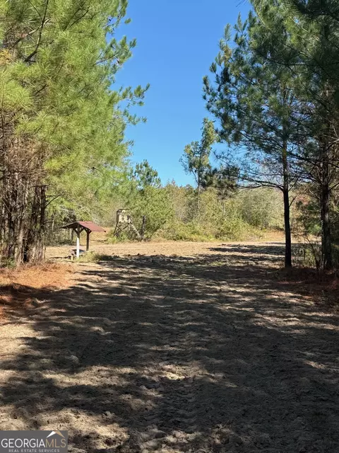 0 Carroll Rd, Roberta, GA 31078 photo 10