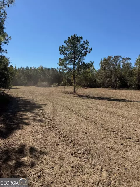 0 Carroll Rd, Roberta, GA 31078 photo 8