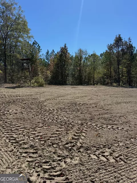 0 Carroll Rd, Roberta, GA 31078 photo 4