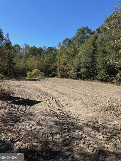 0 Carroll Rd, Roberta, GA 31078 photo 2
