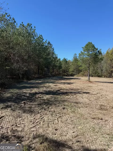0 Carroll Rd, Roberta, GA 31078 photo 7